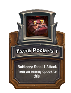 Extra Pockets 1