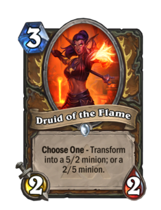 Druid of the Flame